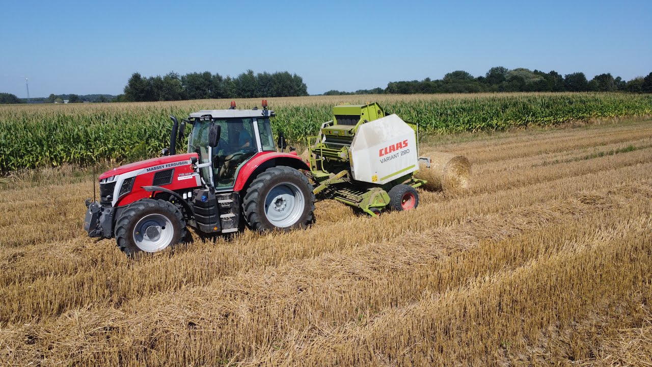PRASOWANIE SŁOMY 2023 🔥MF 7S.155 🔥 CLAAS VARIANT 280 🔥 BELARUS 820 🔥 CLAAS DOMINANT 🔥