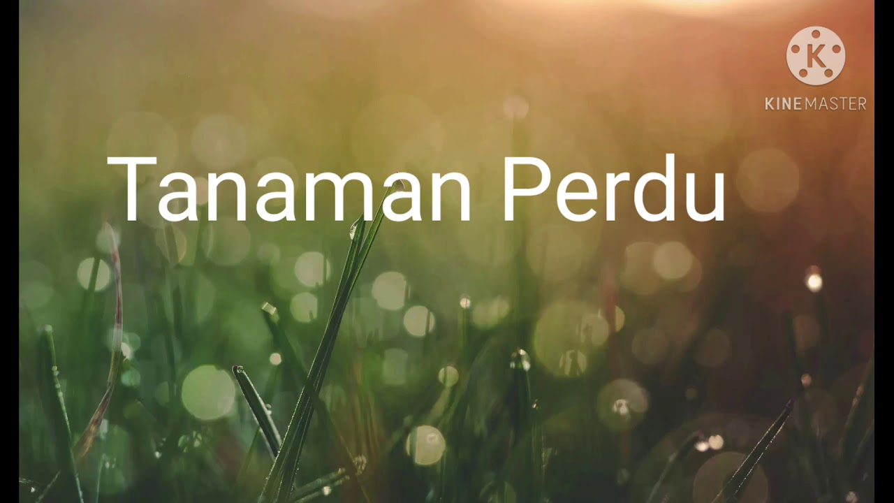 tanaman Perdu