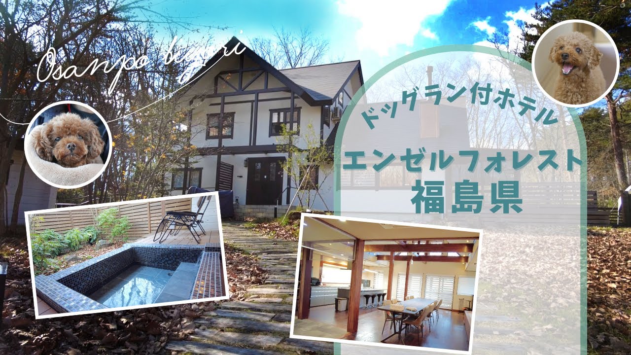 ドッグホテル～福島県のエンゼルフォレストに行ってきました。