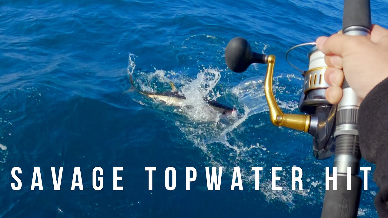 SPINNING AL TONNO!! Topwater