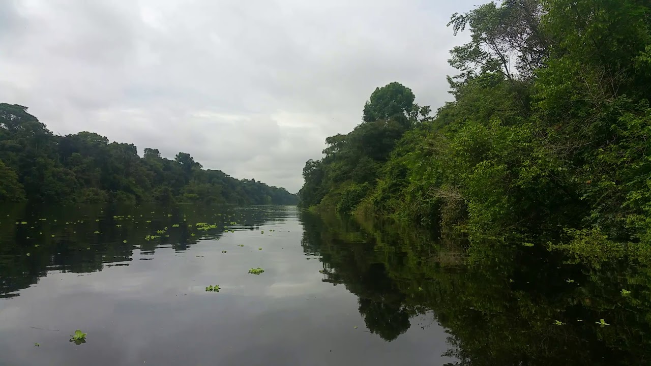 AMAZONAS 5 R&iacute;o Yanayacu