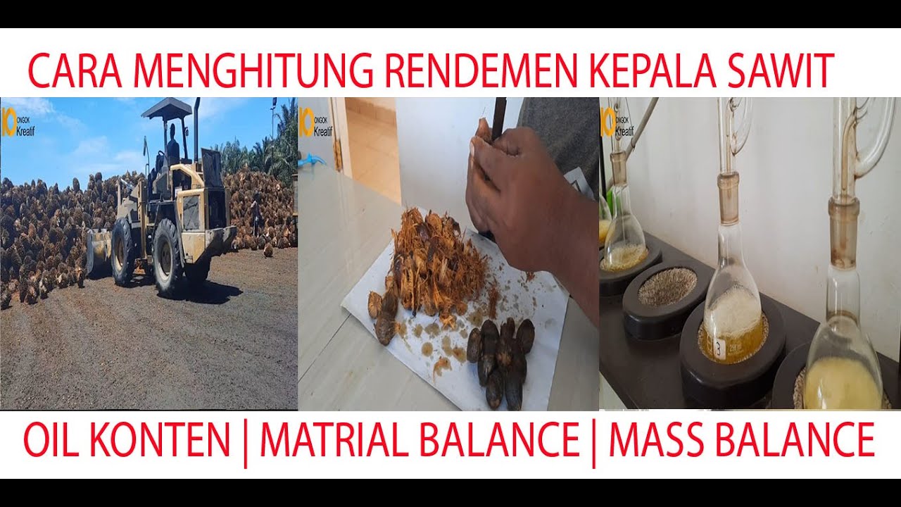 CARA MENGHITUNG RENDEMEN PADA TBS KELAPA SAWIT ATAU SERING DISEBUT  OIL KONTENT | MATRIAL BALANCE