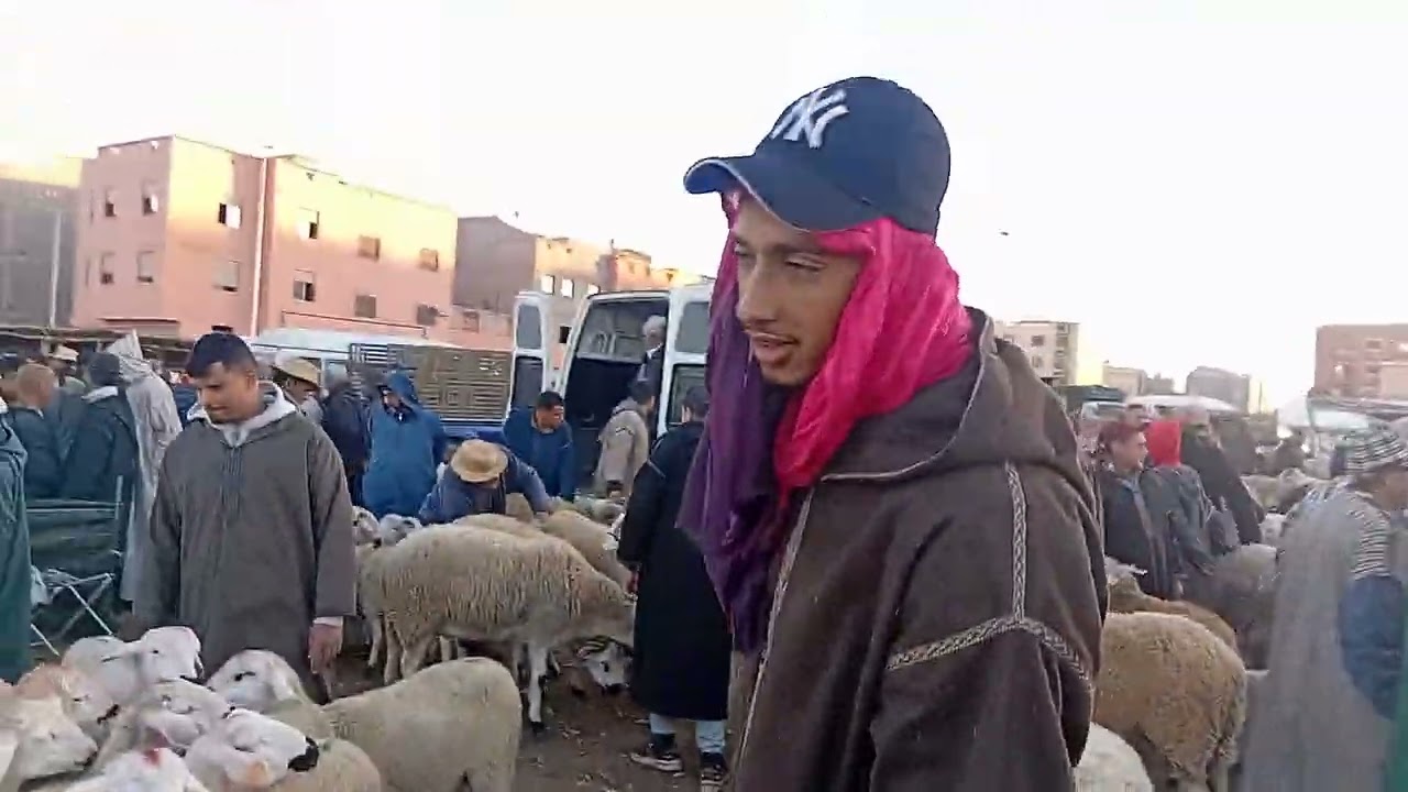 مباشرة من سوق الأسبوعي الاتنين قلعة السراغنة 23|02|2026