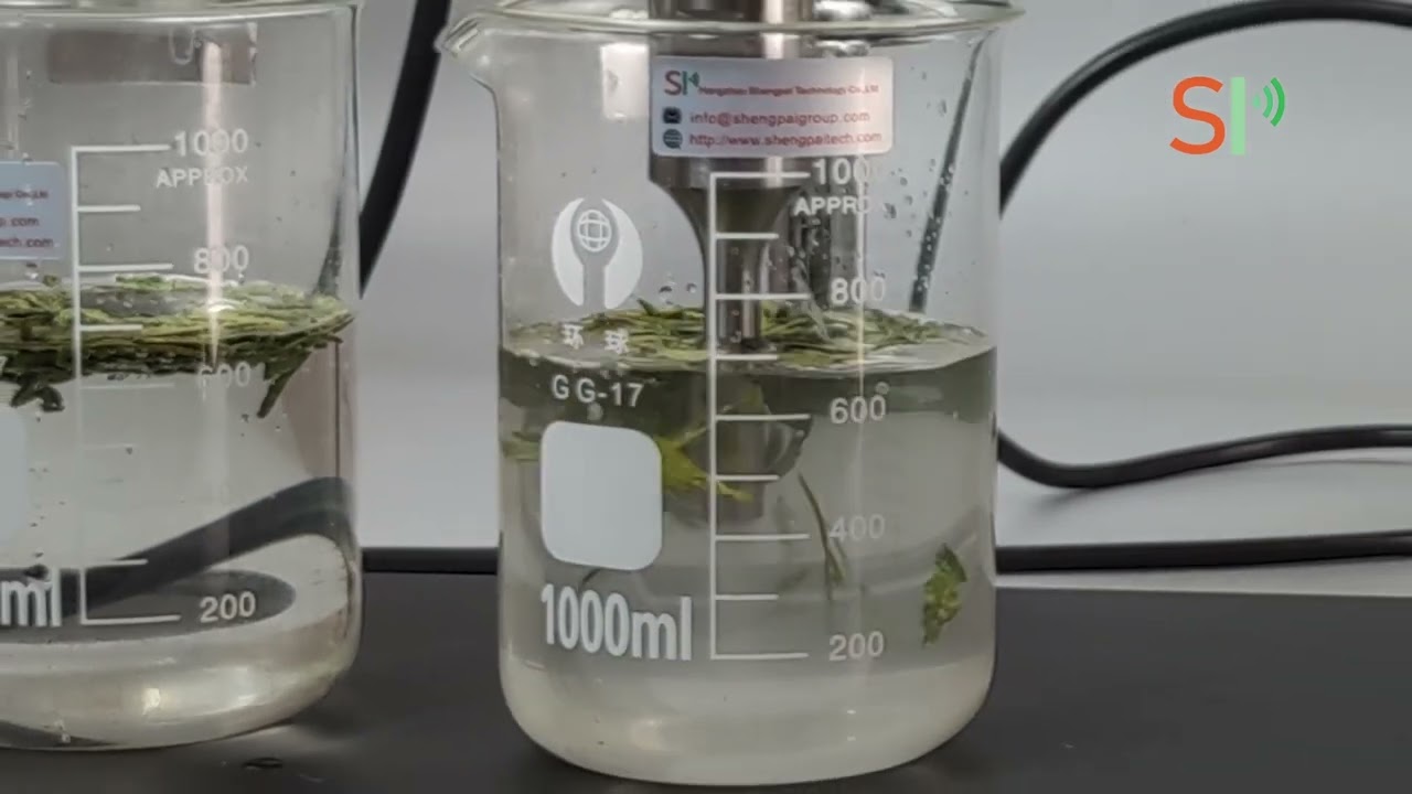 Ultrasonic sonicator for green tea extraction