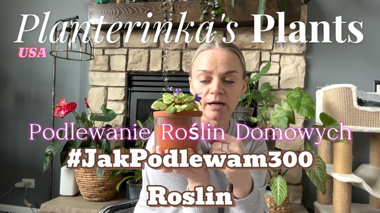 Podlewanie Roślin Domowych | Jak Podlewam 300 Roslin!