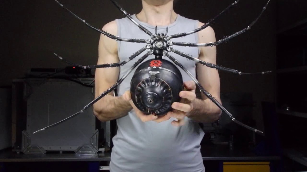 Latrodectus
