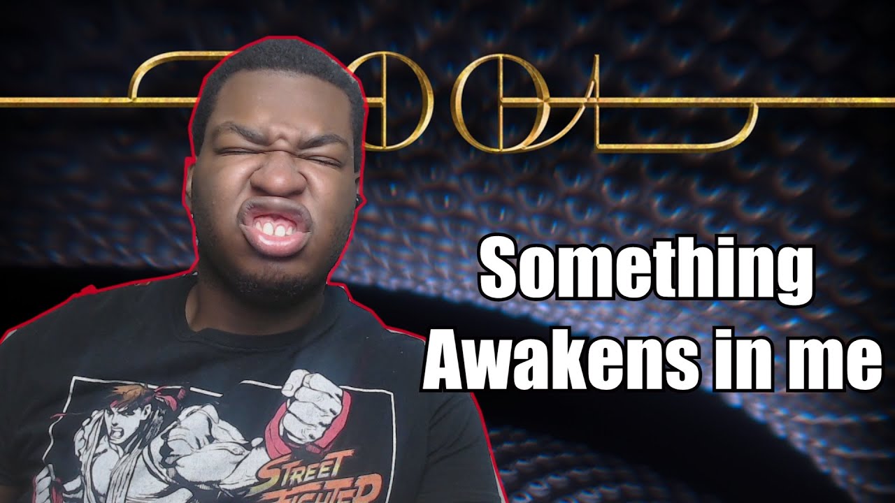 A New Toolsexual Has Awoken! [Tool - Pneuma REACTION]