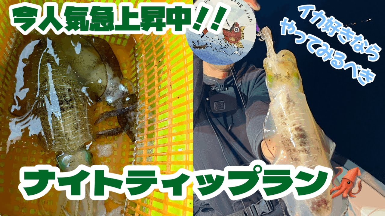 人気急上昇中！！ナイトティップラン🦑シロイカ終わればこれ‼️イカが好きならやるべきでしょ〜🤣【日本海】