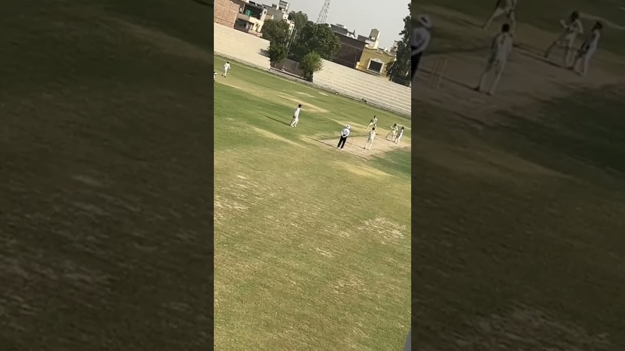 #cricket #cricketlover #pcb #bahawalpur #channel #cricketnews #cricketshorts #official #region
