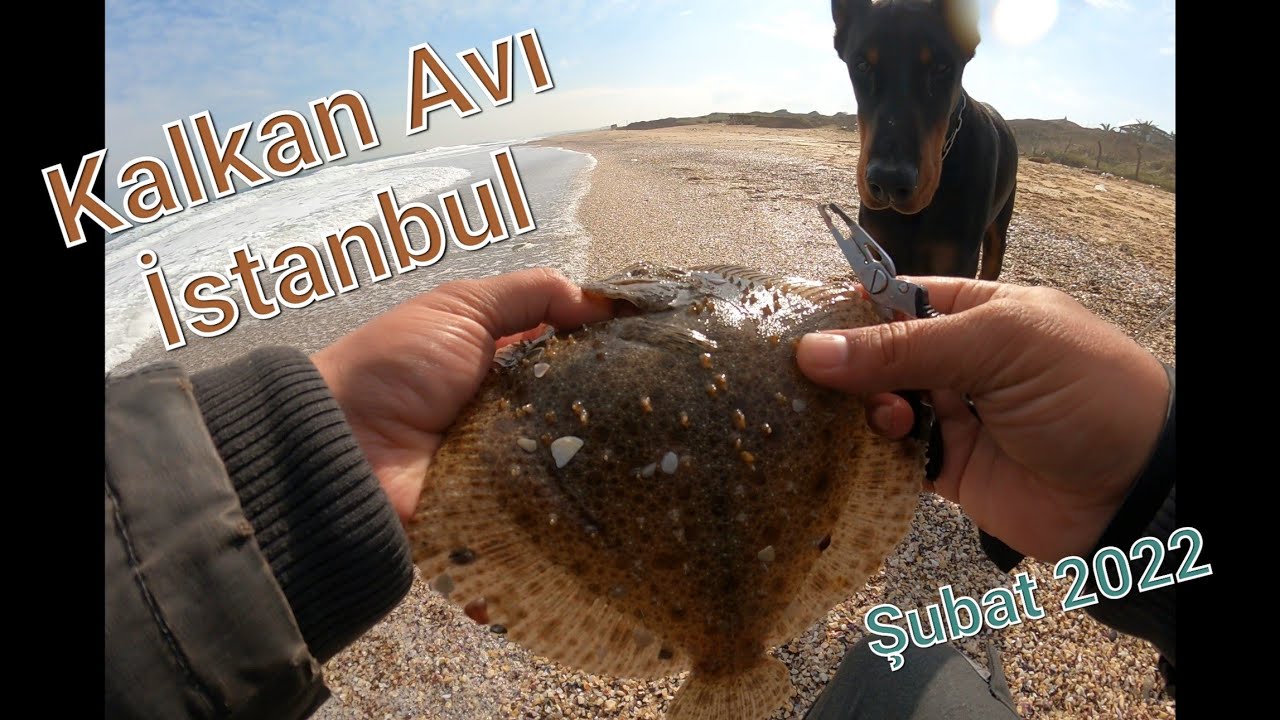 KALKAN AVI NASIL YAPILIR | ŞİLE / İSTANBUL - ŞUBAT 2022 | Bahaneyle Köpeğimi de Götürdük