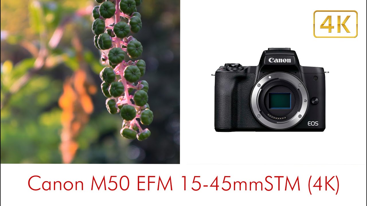 Canon M50 EF-M 15-45mm 4K25p