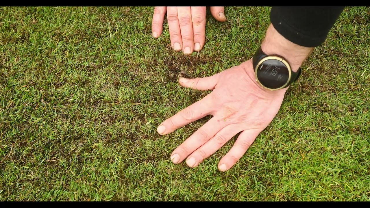 Allett Verticut Cartridge for the Allett Stirling