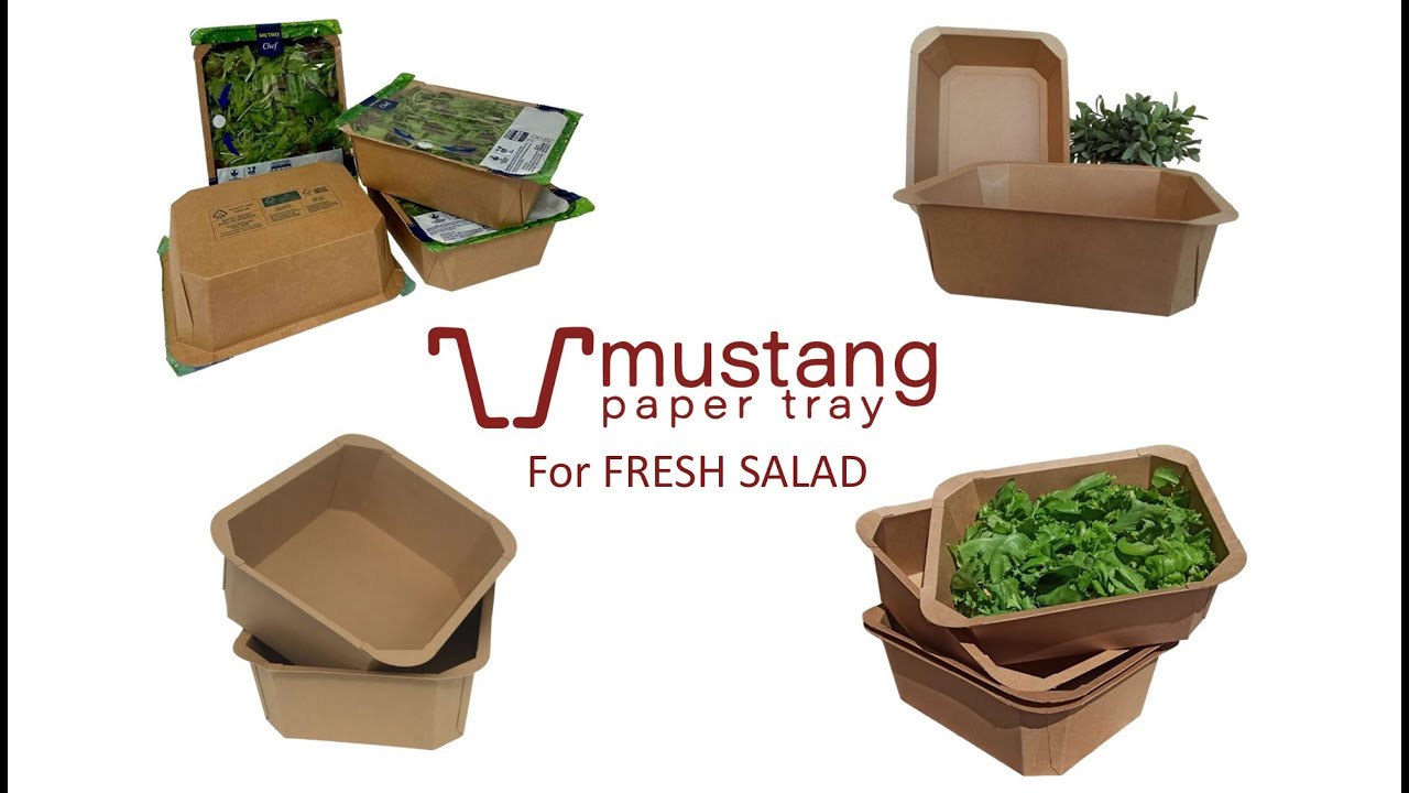 Mustang Paper Tray - new shape M17 093