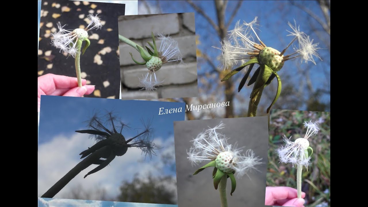 Отцветающий одуванчик из фоамирана Fading dandelion from foamiran