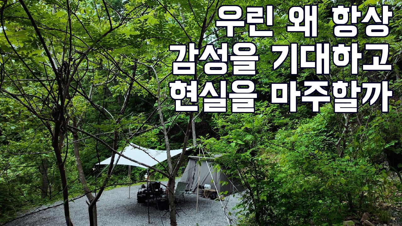 비온뒤 끝내주는 숲속캠핑🏕️I 춘천더숲캠핑장ㅣ현실캠핑