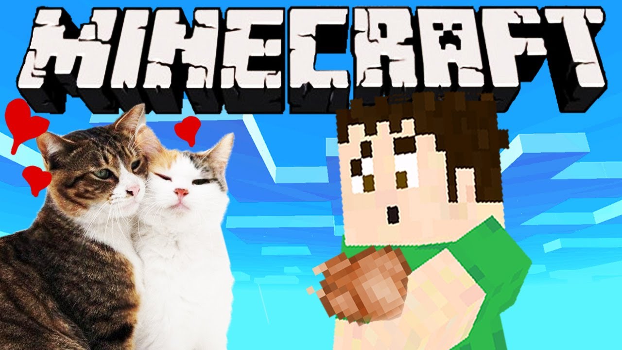 Minecraft - CAT LOVE