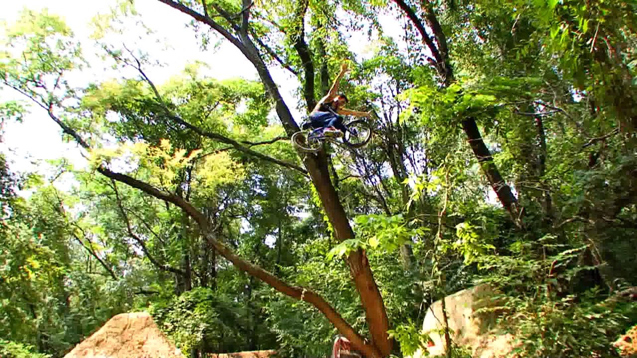 Chris Doyle BMX Profile 2011