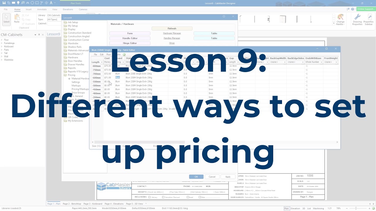 CabMaster Software - Lesson 9: Different ways to set up pricing