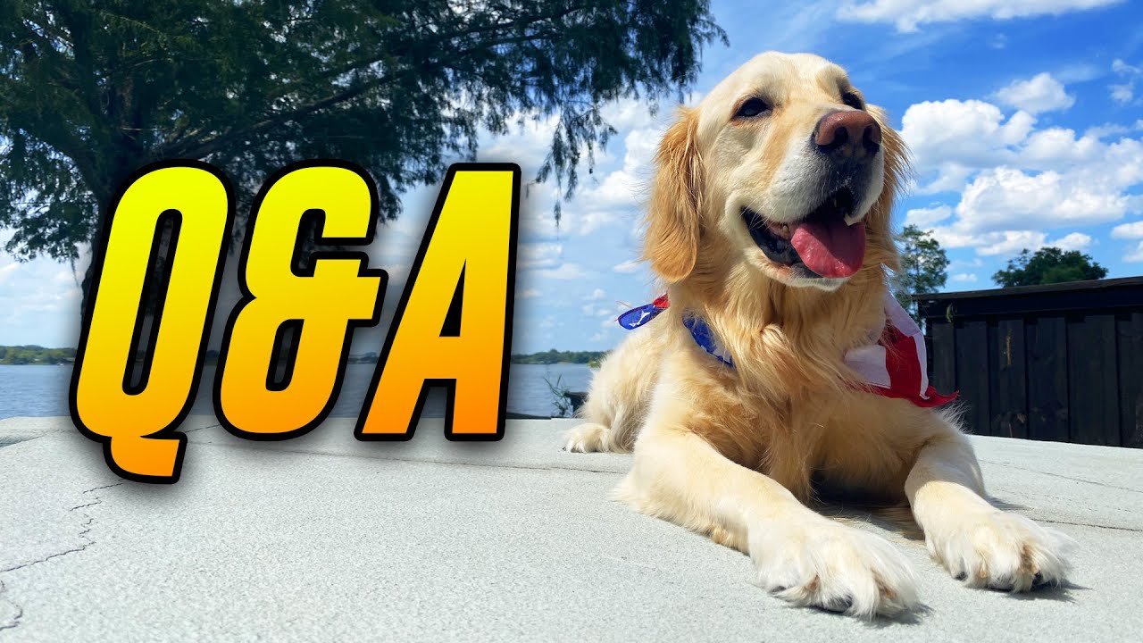 SUPER COOPER SUNDAY Q&A! (SCS #256)