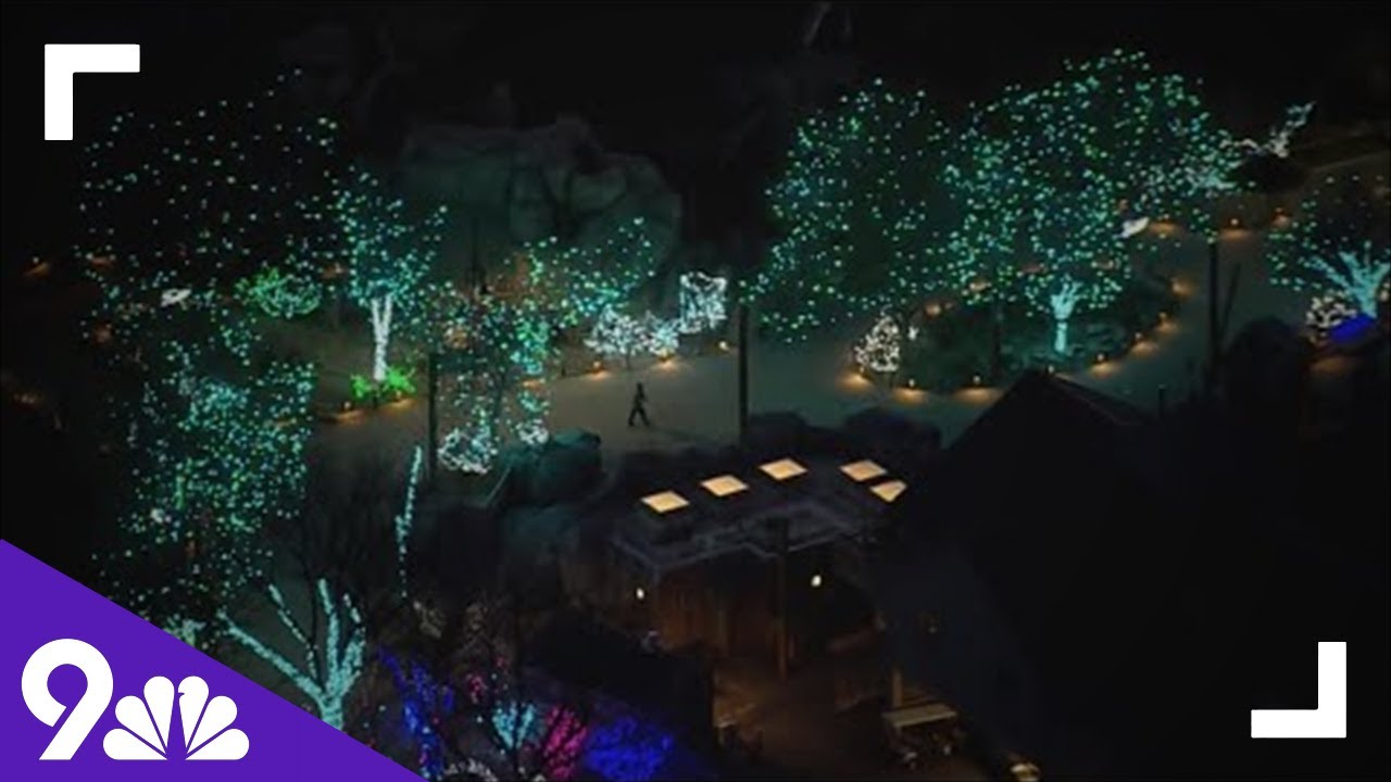An aerial view of Denver Zoo Lights, Blossoms of Light