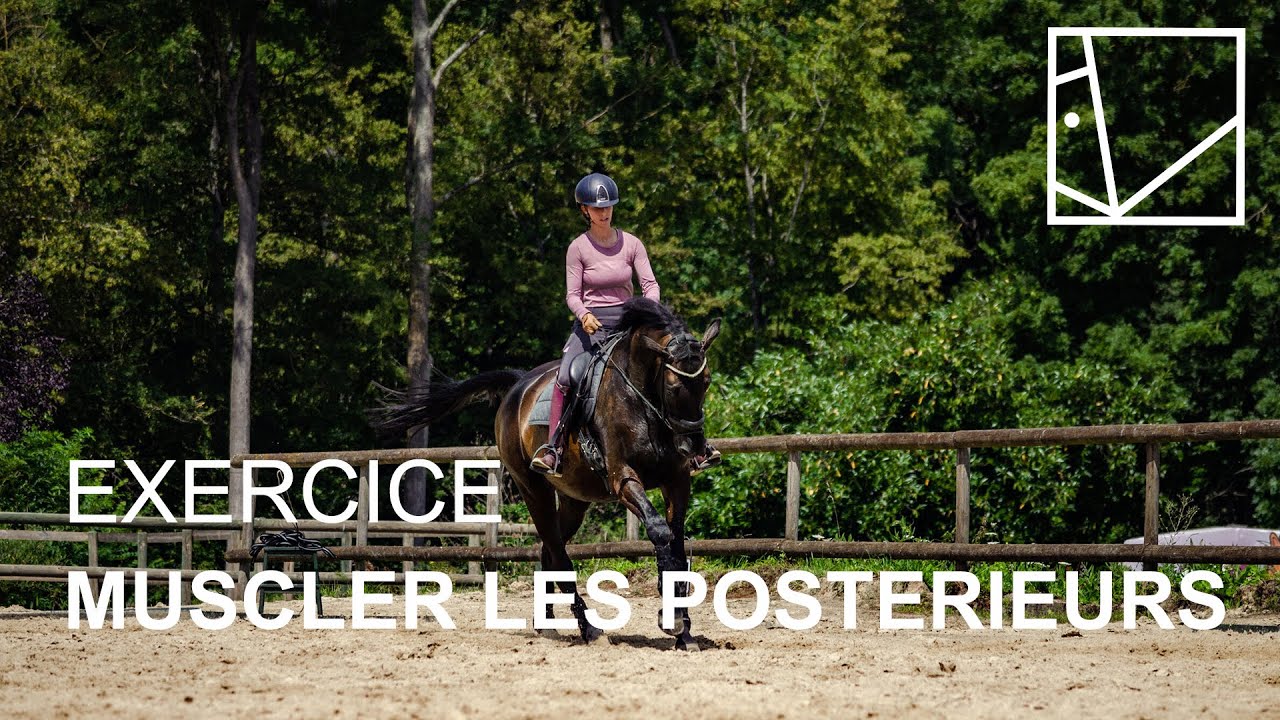 MUSCLER SON CHEVAL EN EXTERIEUR / SERIE EXERCICE #14 /