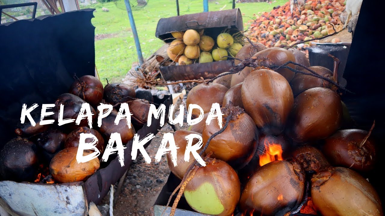 Kelapa Muda Bakar Banyak Manfaat Untuk Kesehatan??