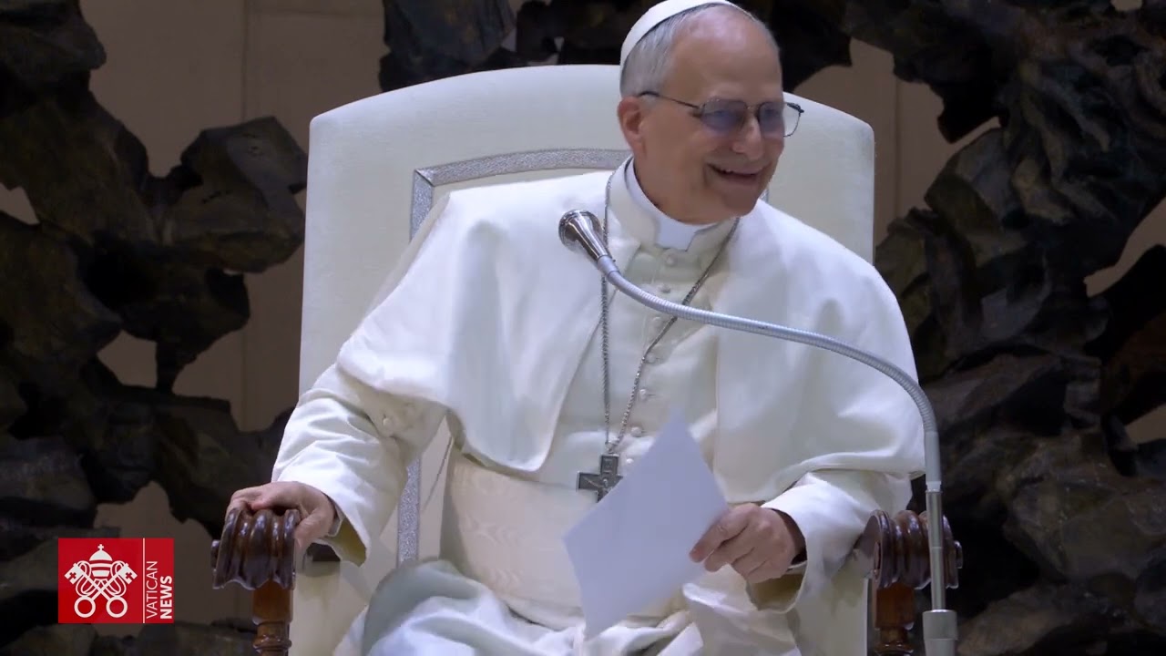 Highlights - Audience with media professionals, May 12, 2025 - Pope Leo XIV