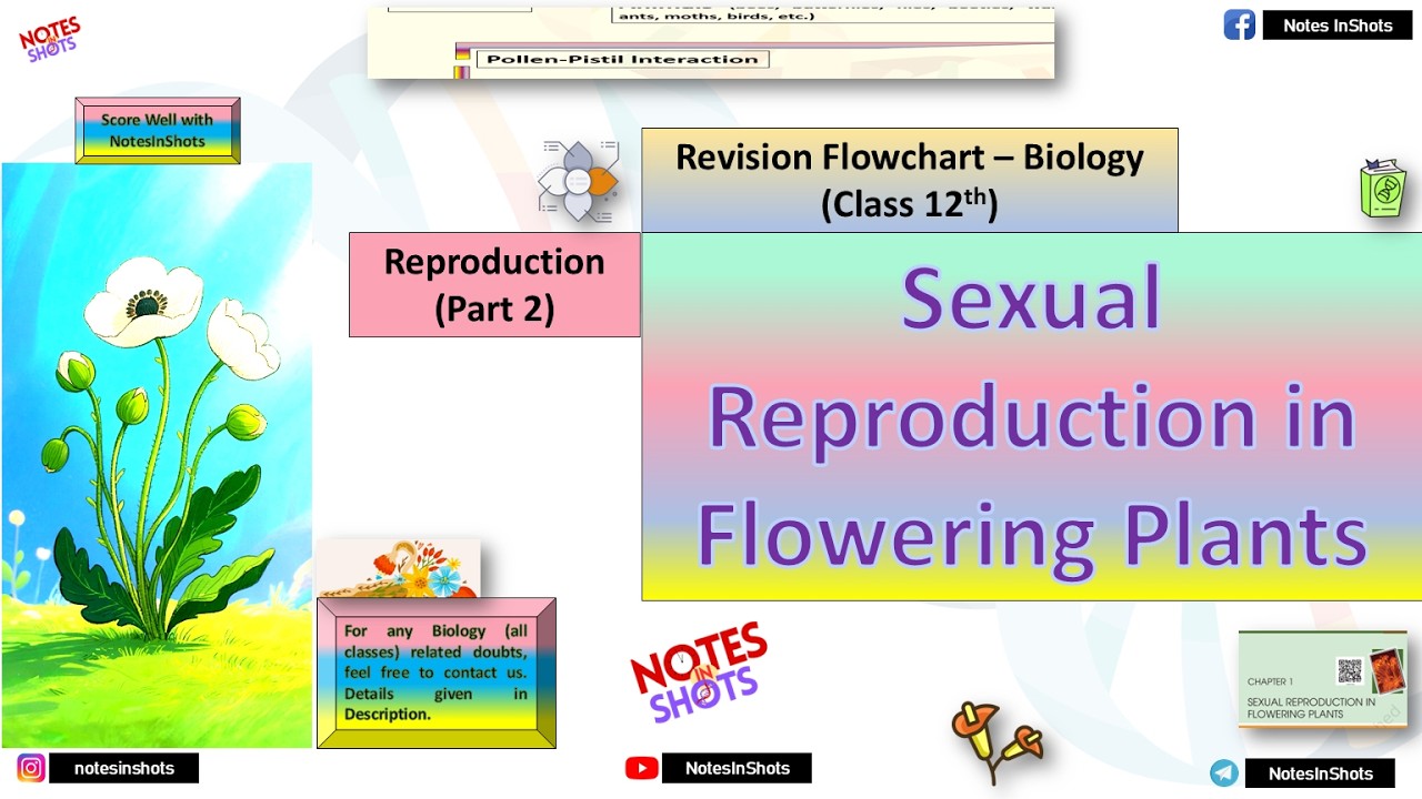Sexual Reproduction in Flowering Plants | Revision Flowchart| @NotesInShots  #biology #science