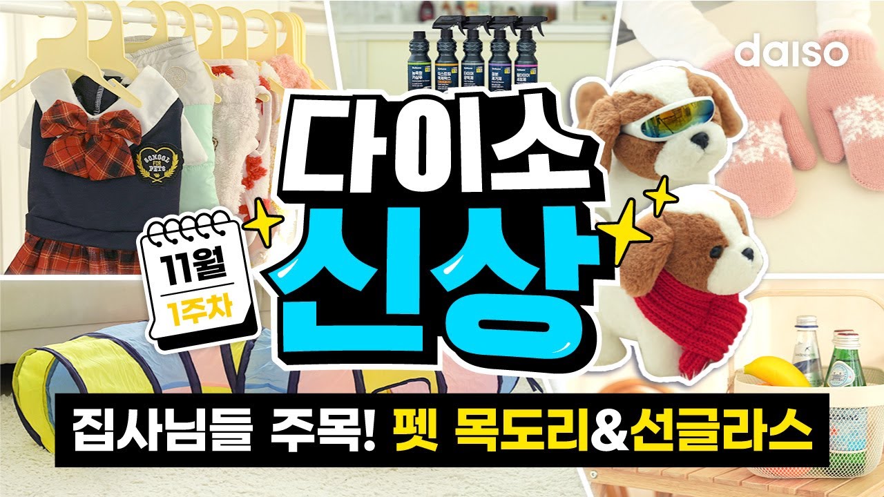 이 귀여운 걸 그냥 지나친다구?🐶 뽀짝 댕댕이 선글라스😎 겨울에 댕플룩 추천템! 목도리🧣 | 다이소 신상 11월 1주차! 2탄🛒