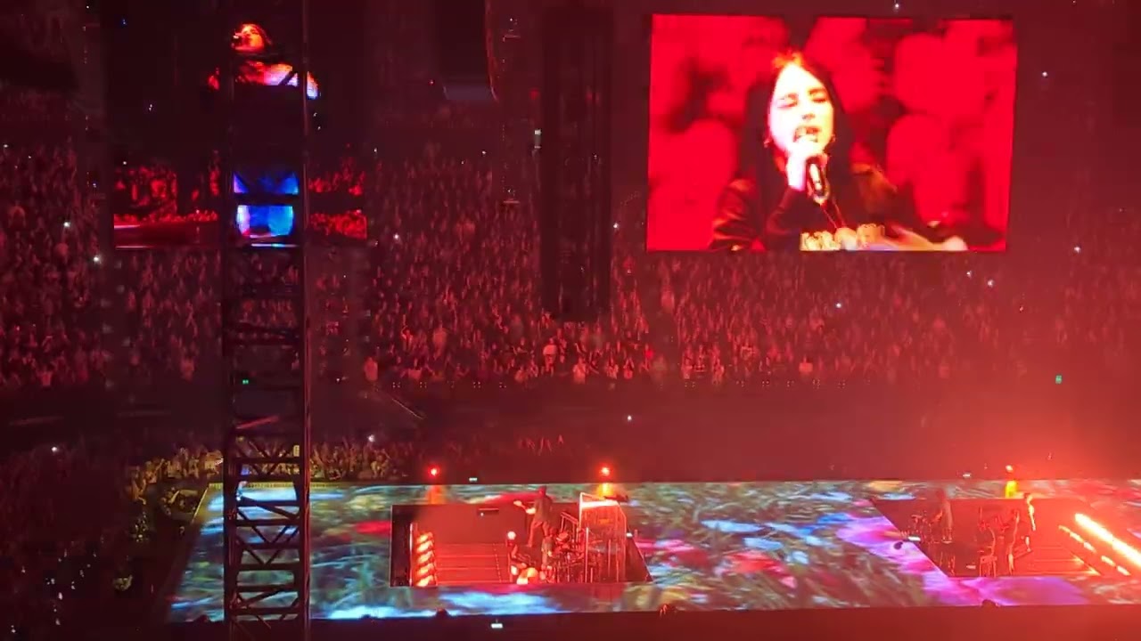 Billie Eilish - BIRDS OF A FEATHER (Live 2025 Melbourne)