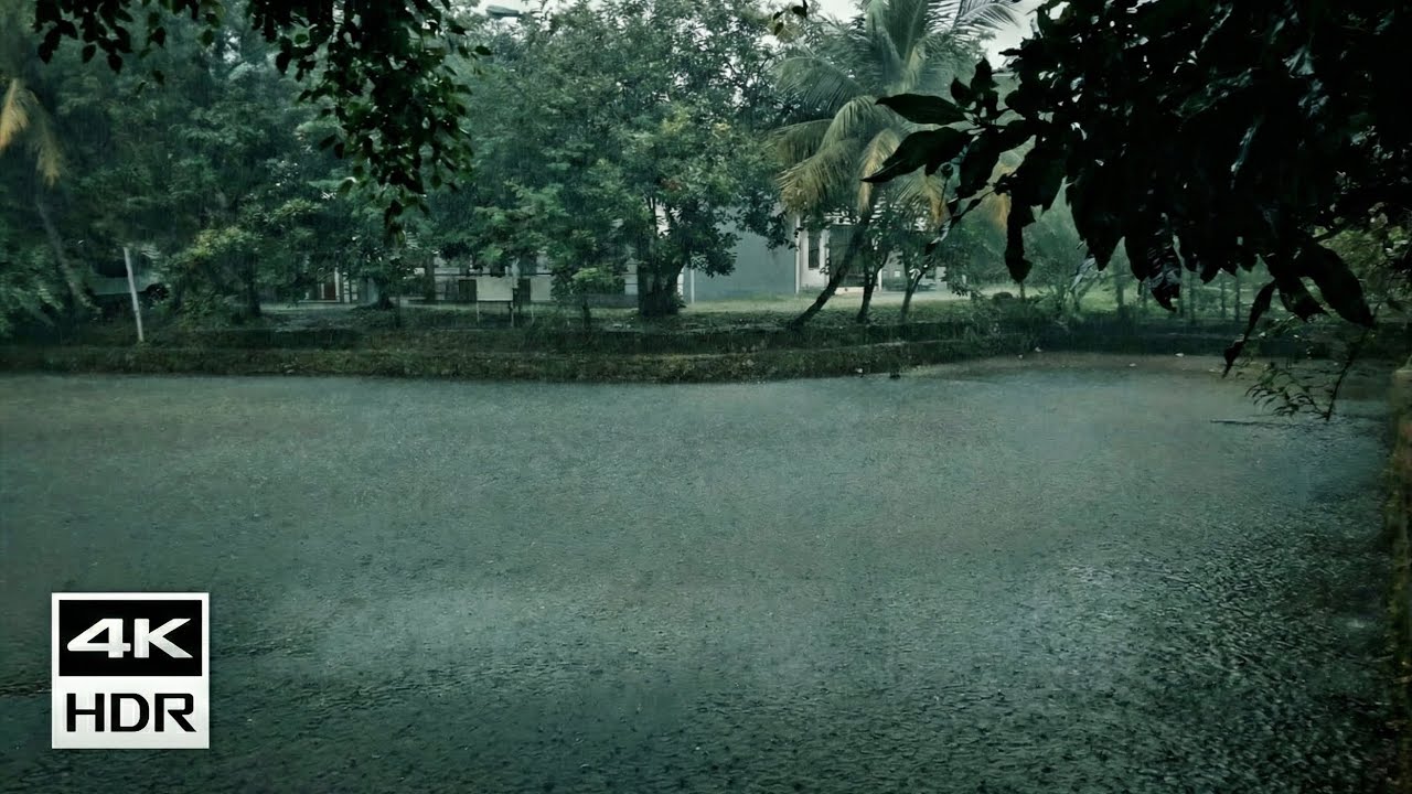 Relaxing Walk in the Rain 4K | Real Nature Sounds (No AI) | Sleep & Study Ambience