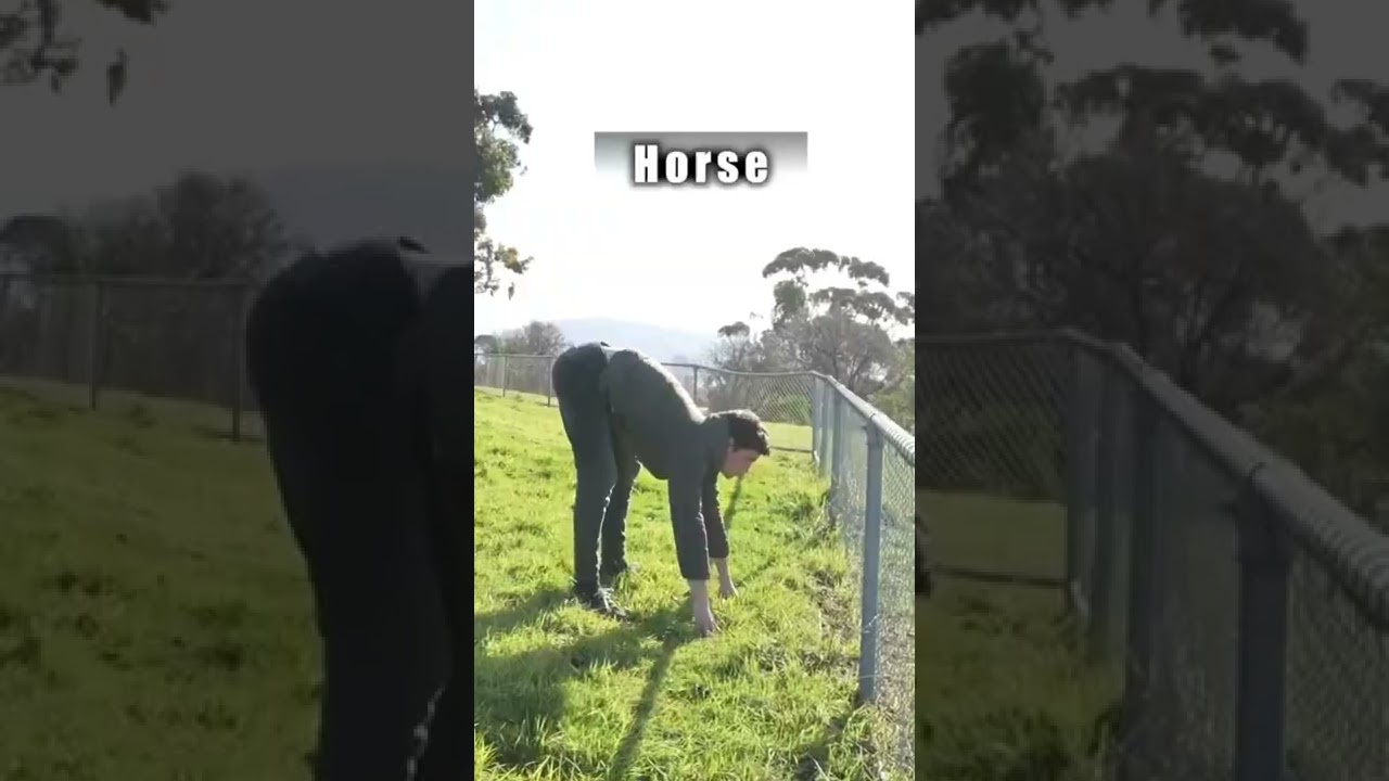 How animals get over a fence. 😂 Part 2 🐬 #Shorts