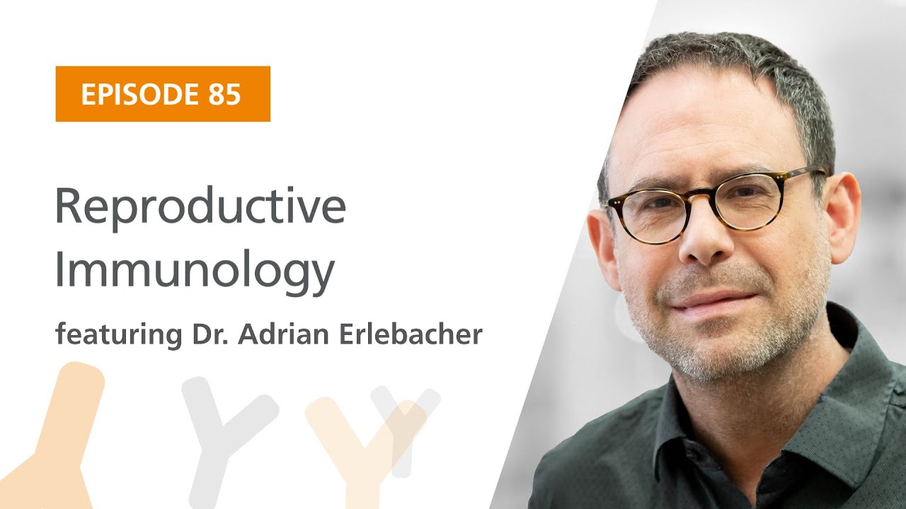 Reproductive Immunology featuring Dr. Adrian Erlebacher | The Immunology Podcast