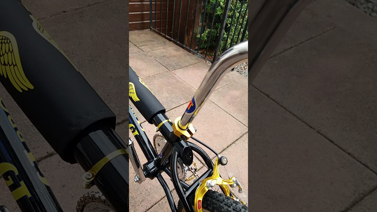 Gt pro series 1985 old school bmx