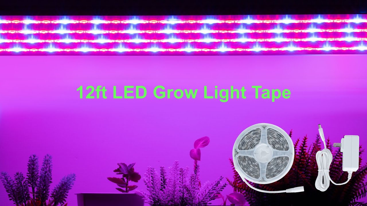 12ft LED Grow Light Tape: Transform Your Indoor Space into a Thriving Garden