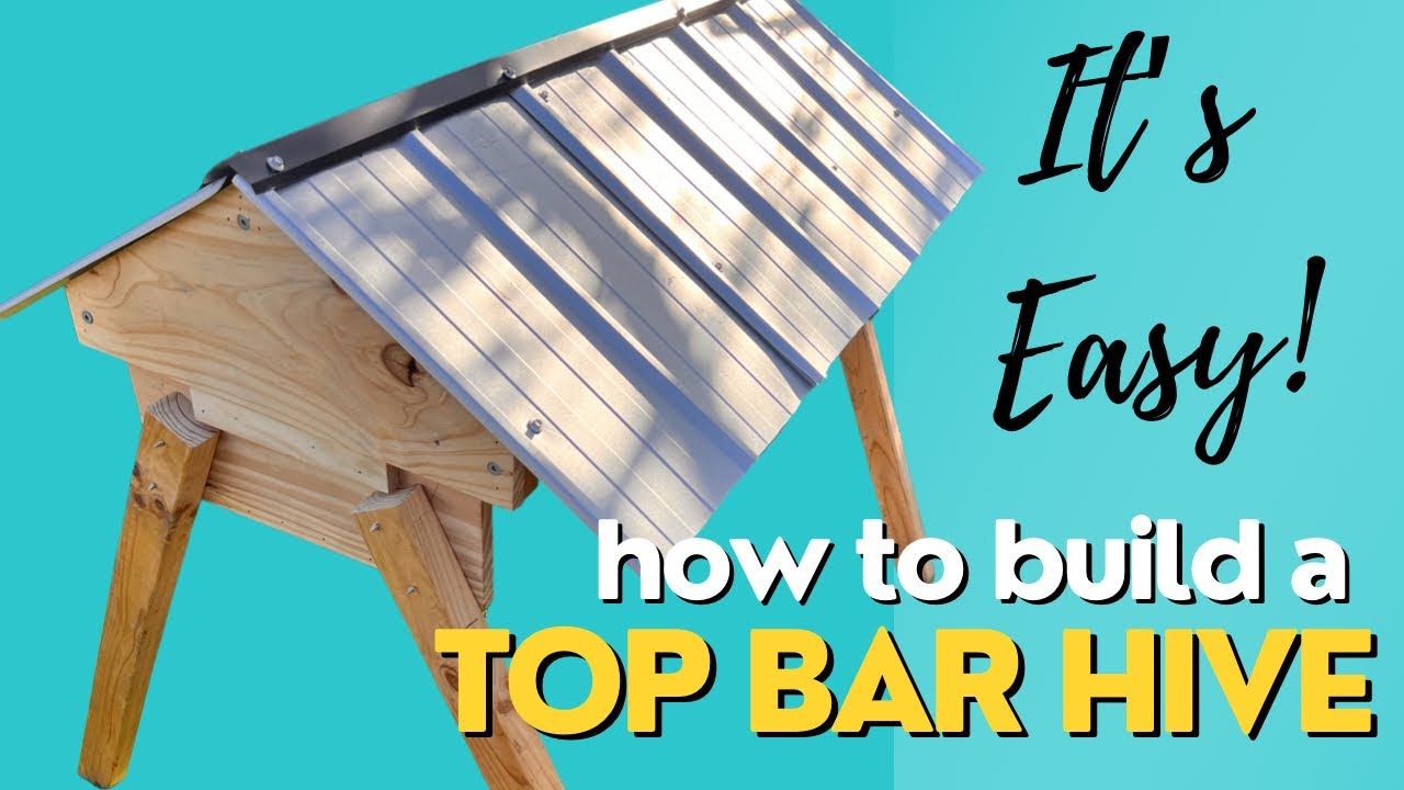 DIY! How to Build a Top Bar Beehive! With NO PLANS! | #Aussiebeekeeping #topbarhive | 3-10-22