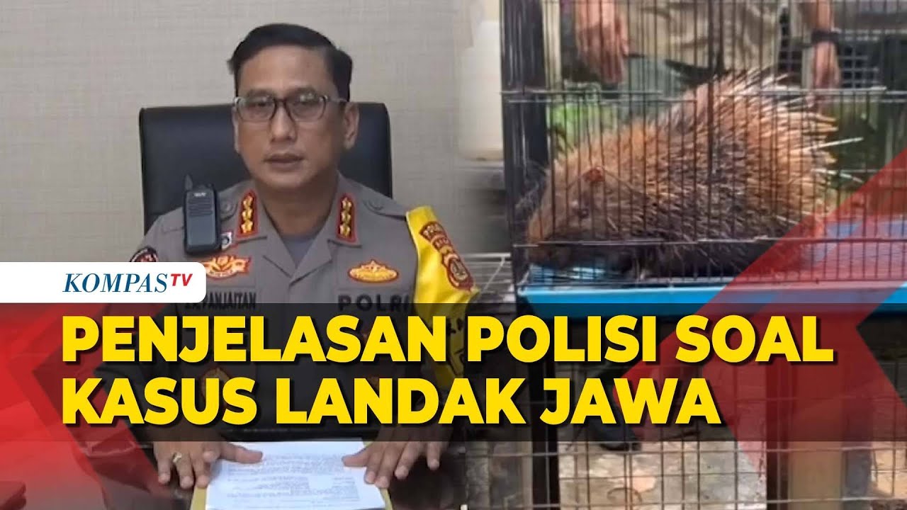Polisi Beberkan Fakta Baru soal Kasus Landak Jawa