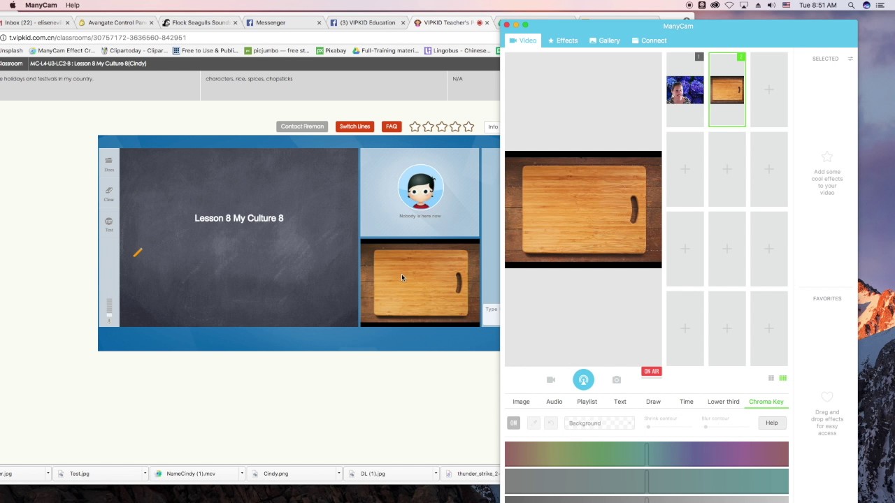 VIPKID & ManyCam: Video Feed