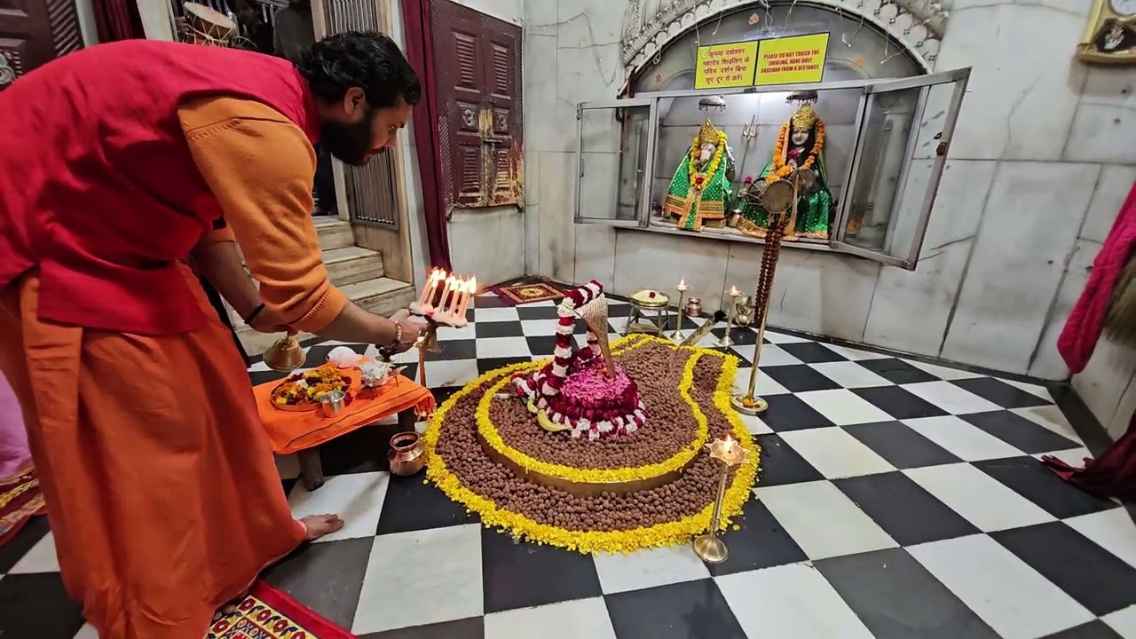 1008 रुद्राक्ष से महादेव जी का सिंगार दर्शन विश्व प्रसिद्ध पौराणिक दक्षेश्वर महादेव शिव लिंग #शिव 