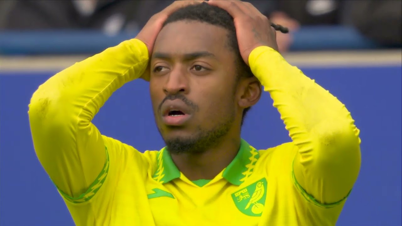 Leicester City v Norwich City Highlights