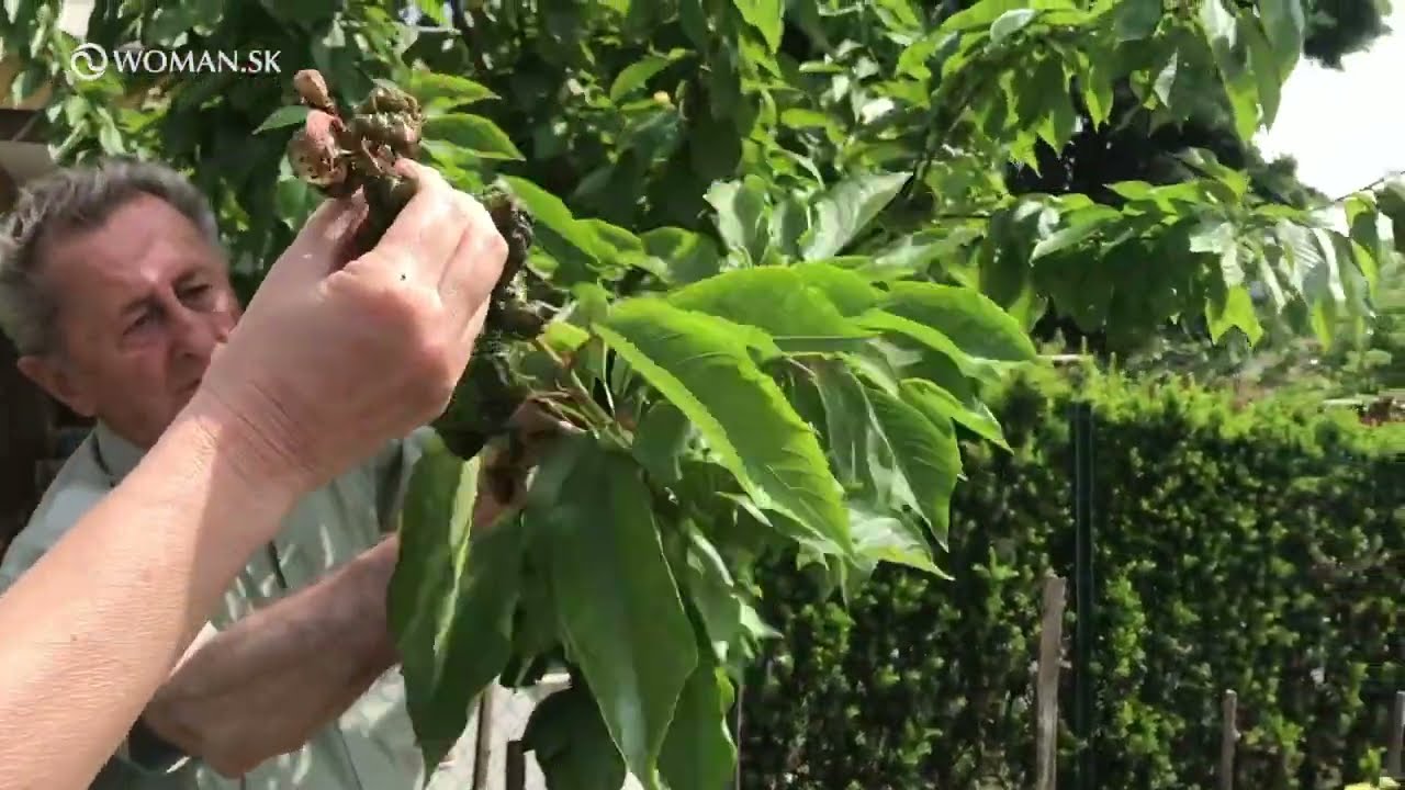Ivan Hričovsk&yacute;: NAPADLI VA&Scaron;U ČERE&Scaron;ŇU VO&Scaron;KY?