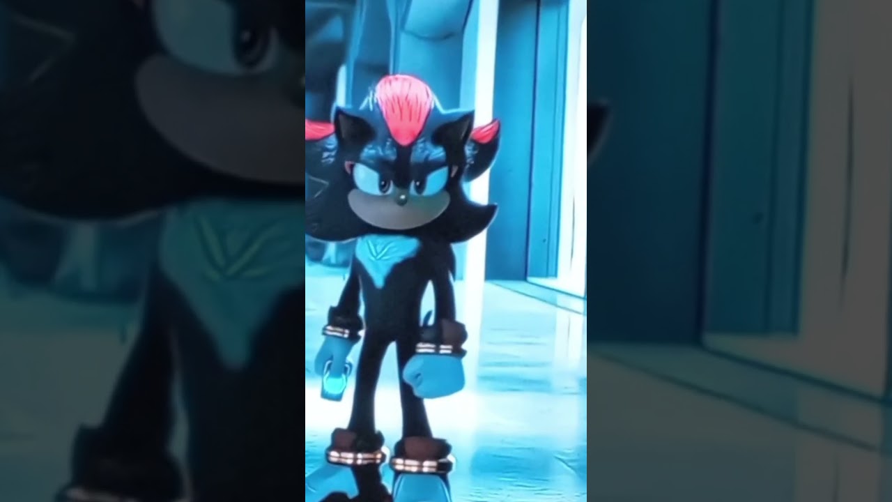 shadow is cooked by sonic 