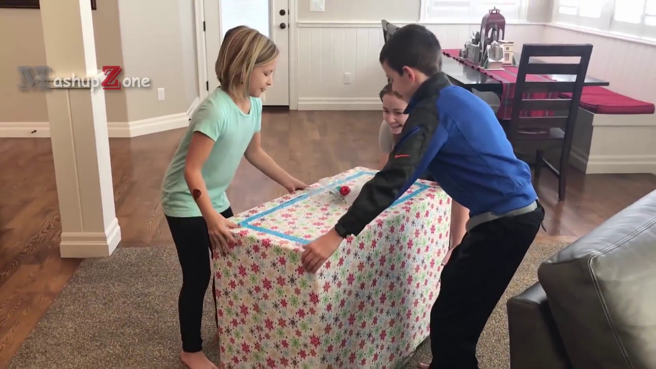 KIDS REACTIONS To Kitten And Puppy Surprise On Christmas Compilation 2017