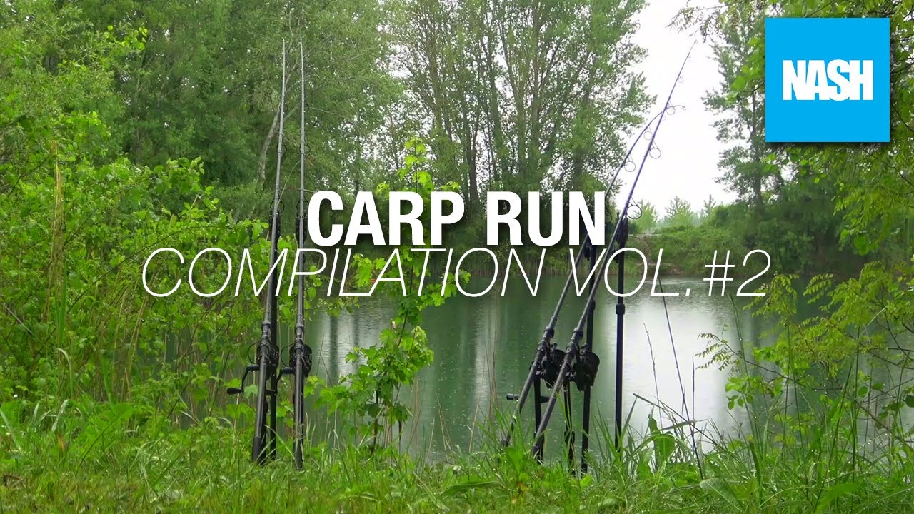 Carp Run Compilation Vol. #2 - Nash TACKLE
