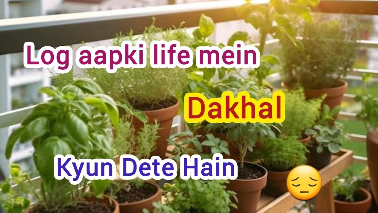 Log aapki life mein interfere kyon karte hain motivation vlog YouTube vlog the world of Ruby