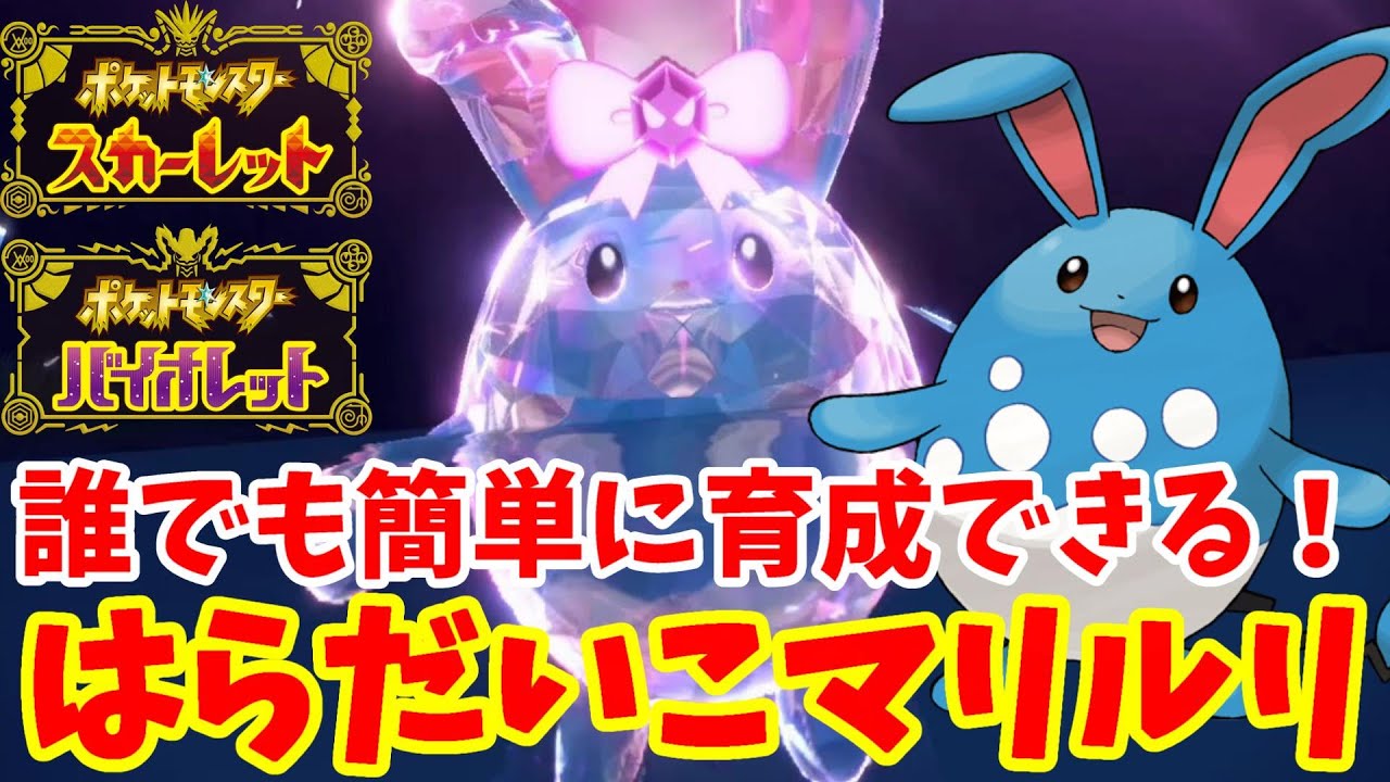 【ポケモンSV】簡単にできる！最強レイド用はらだいこマリルリの育成方法！最強リザードン対策にも！【ポケモンスカーレットバイオレット】