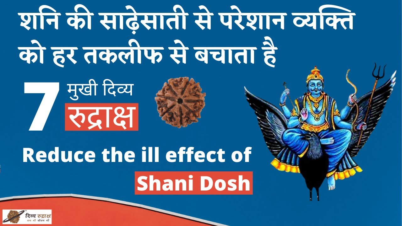 7 Mukhi Divya Rudraksha | 7 Mukhi Rudraksha