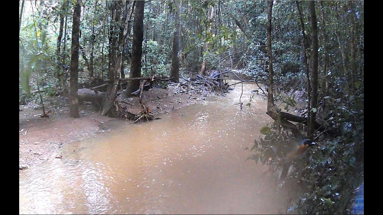 Trail Cam Australian wildlife vol 4 Enoggera Reservoir