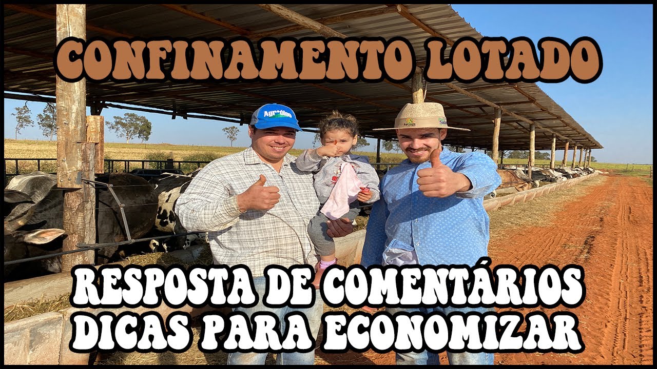 CONFINAMENTO, DICAS E RESPOSTAS DE COMENTÁRIOS #confinamento #pecuaria #agro