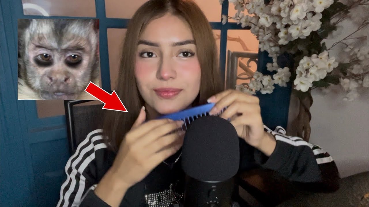 ASMR para los que aprobaron el semestre 🗣️